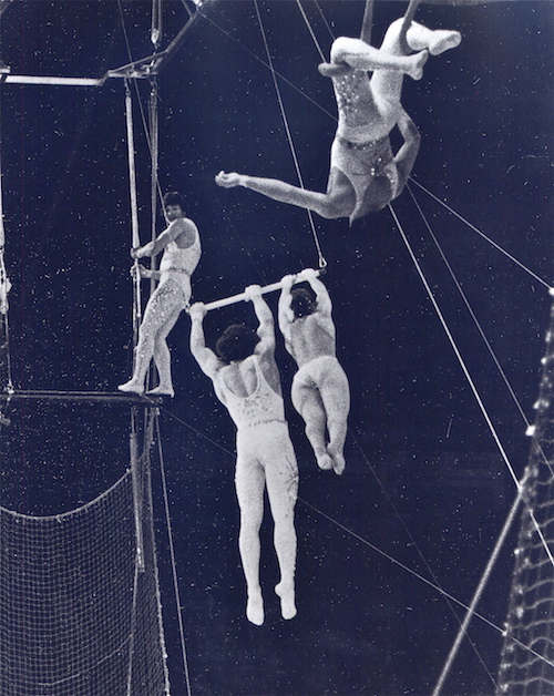 The trapeze artists brothers in a grainy black and white photo. One is standing on the bar of his trapeze and the other two are swinging from theirs. 
